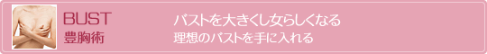 �L����p�E�o�X�g��傫�����炵���Ȃ�