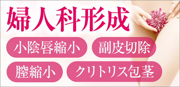 婦人科形成