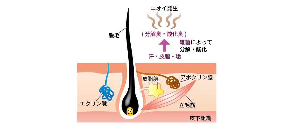 注入治療